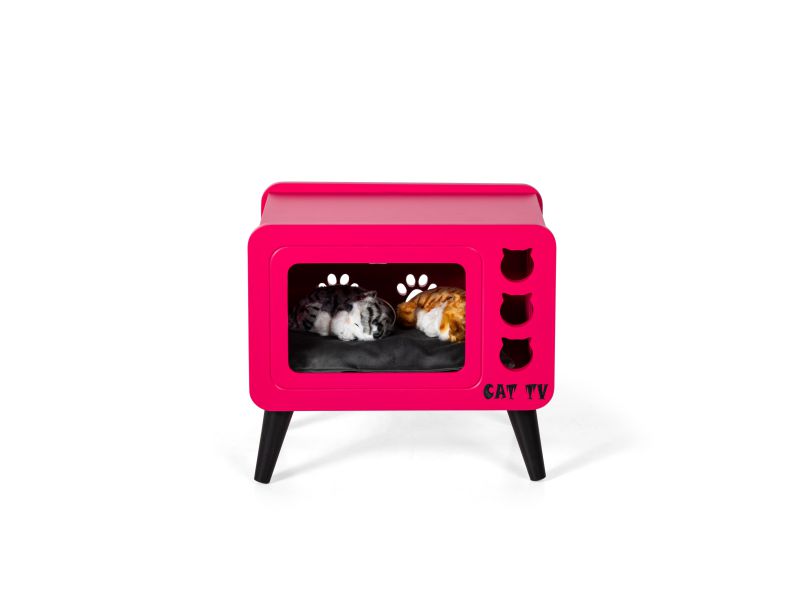 Cat Tv Pembe