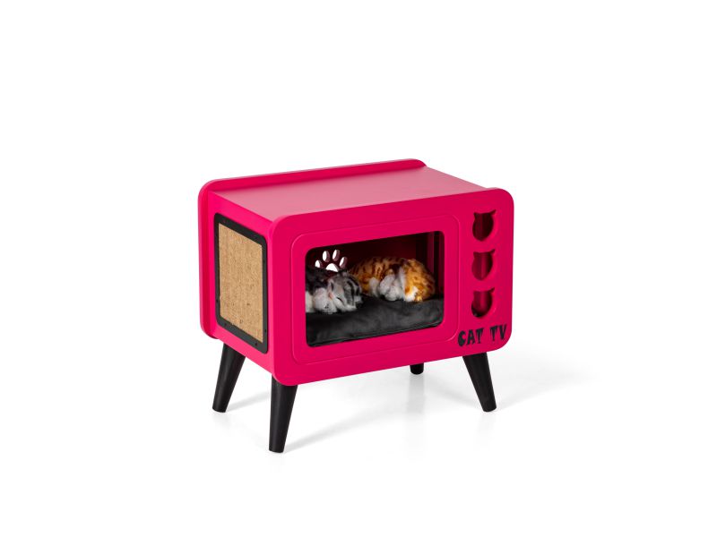 Cat Tv Pembe